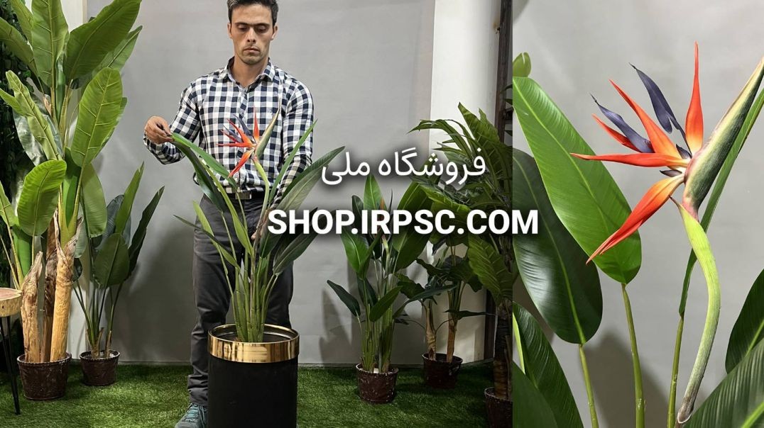 ⁣درختچه مصنوعی استرزیا گلدار | فروشگاه ملی