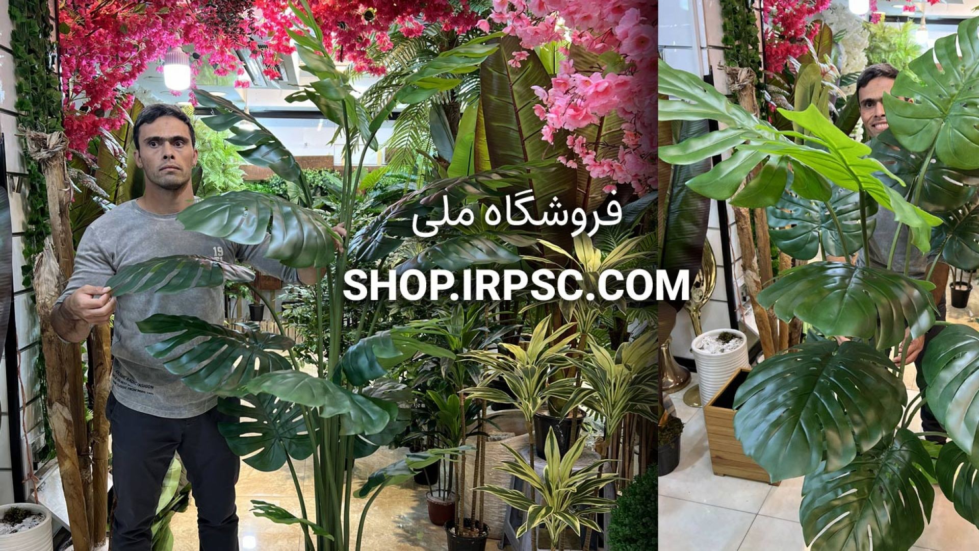 ⁣درختچه مصنوعی برگ انجیری 16 برگ 2 متری | فروشگاه ملی