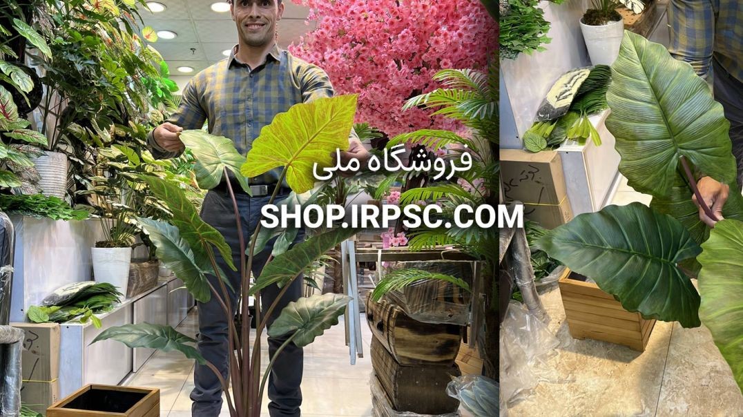 درختچه مصنوعی بابا آدم 8 برگ 120 سانتی | فروشگاه ملی