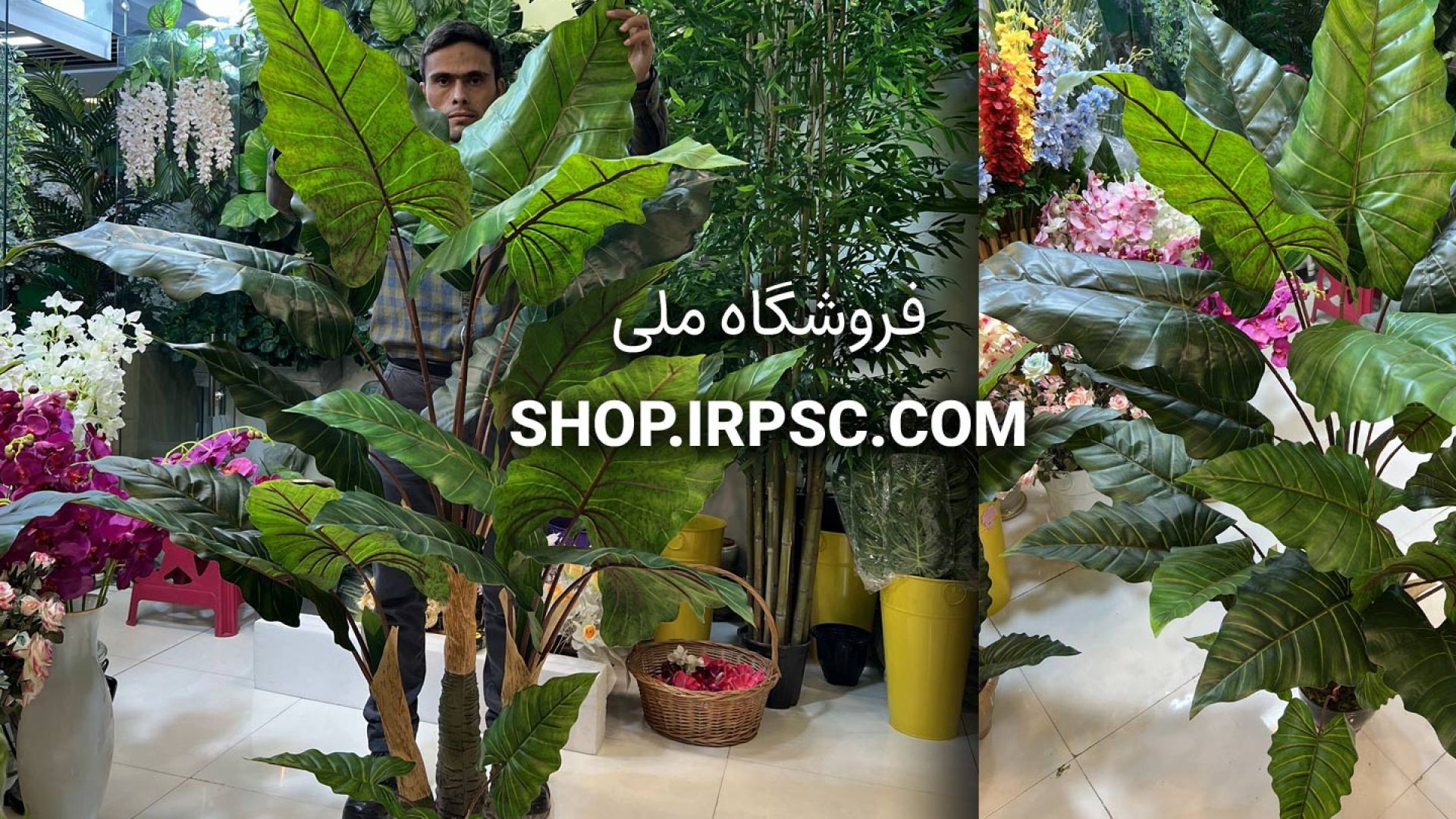 درختچه مصنوعی آلوکازیا 4 تکه 21 برگ | فروشگاه ملی