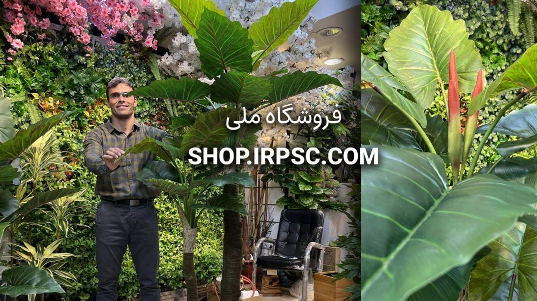 ⁣درختچه مصنوعی بابا آدم 21 برگ 210 سانتی | فروشگاه ملی