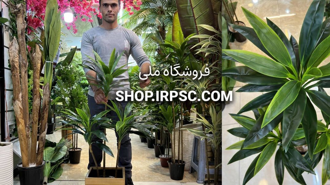 ⁣⁣درختچه مصنوعی دراسینا سبز 3 شاخه 130 سانت | فروشگاه ملی