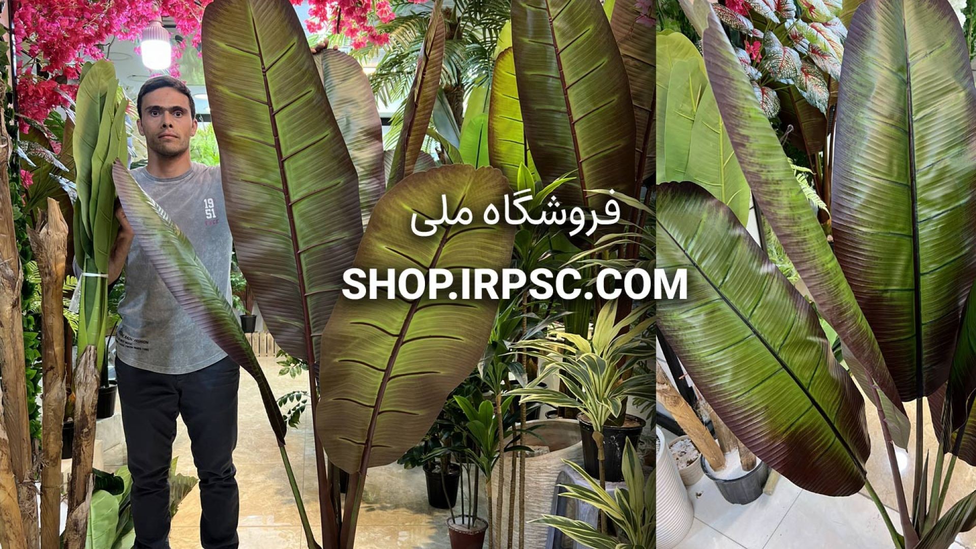 درختچه مصنوعی لوکس 6 برگ 180 سانتی | فروشگاه ملی