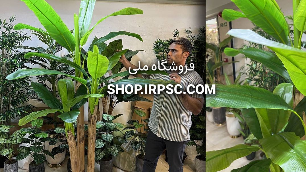 ⁣درختچه مصنوعی موز  3 تکه 240 سانتی | فروشگاه ملی