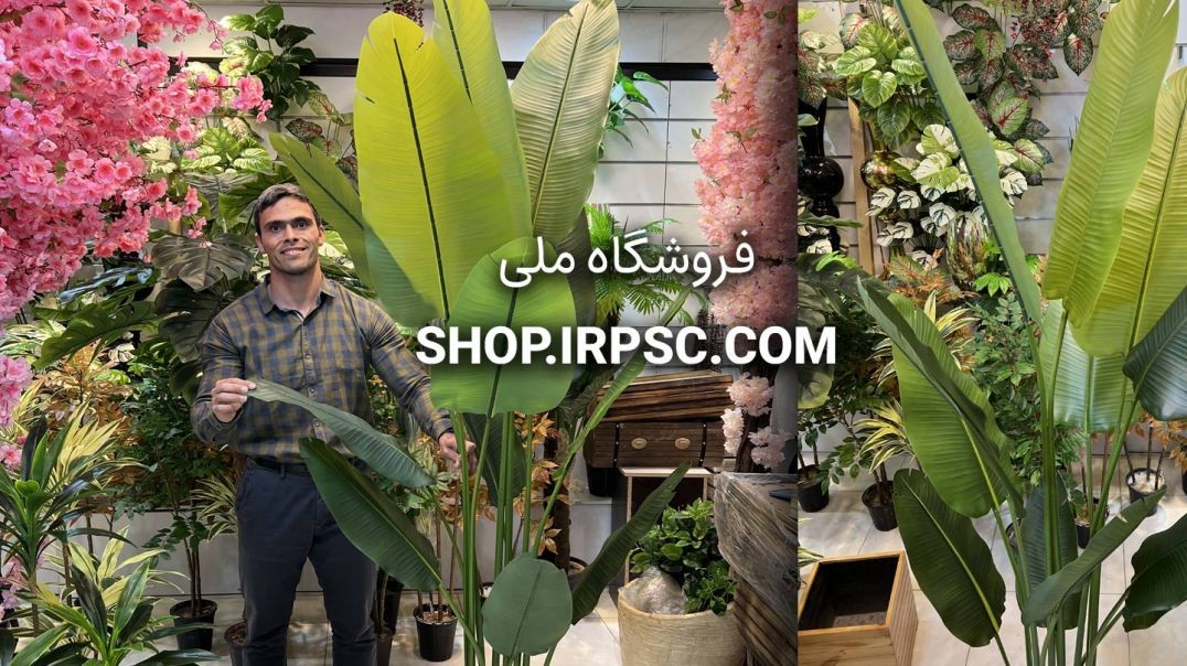 ⁣درختچه مصنوعی پرنده بهشتی 12 برگ 2 متری | فروشگاه ملی