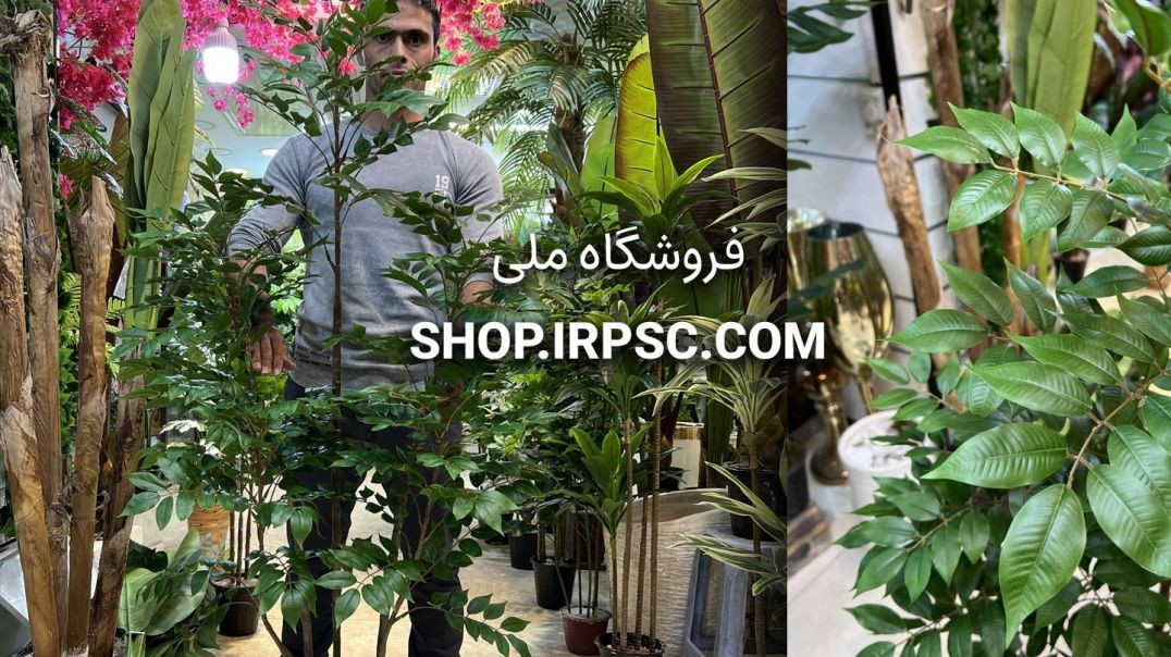 ⁣درختچه مصنوعی اقاقیا 5 تکه 1.5 متری | فروشگاه ملی