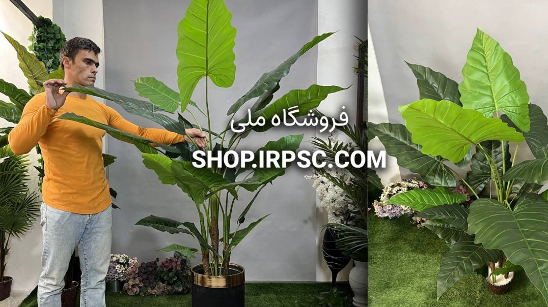 ⁣درختچه مصنوعی آلوکازیا (بابا آدم) 1.6 متر | فروشگاه ملی