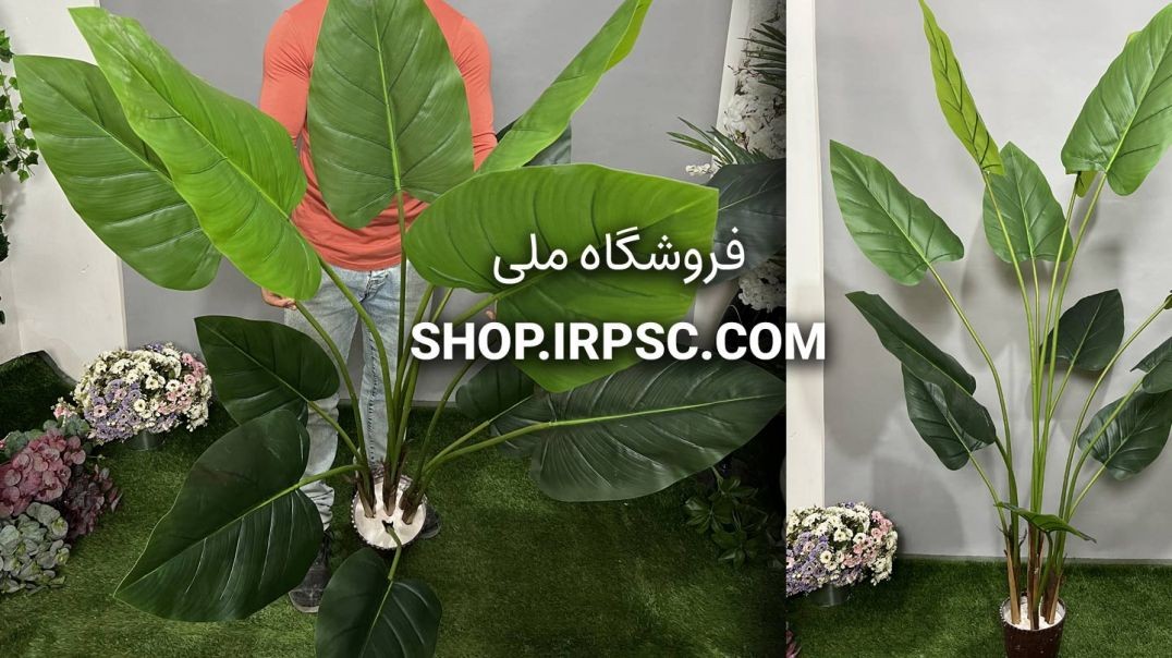 ⁣درختچه مصنوعی آلوکازیا 190 سانتی 12 برگ | فروشگاه ملی