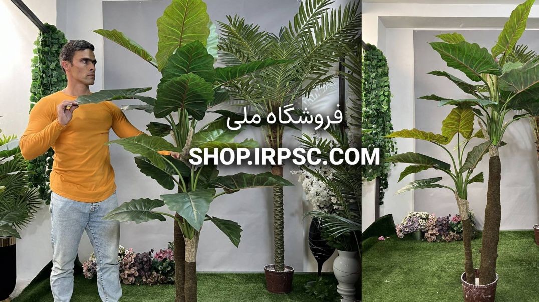 ⁣درختچه مصنوعی بابا آدم آلوکازیا 2 تنه 2 متری| فروشگاه ملی