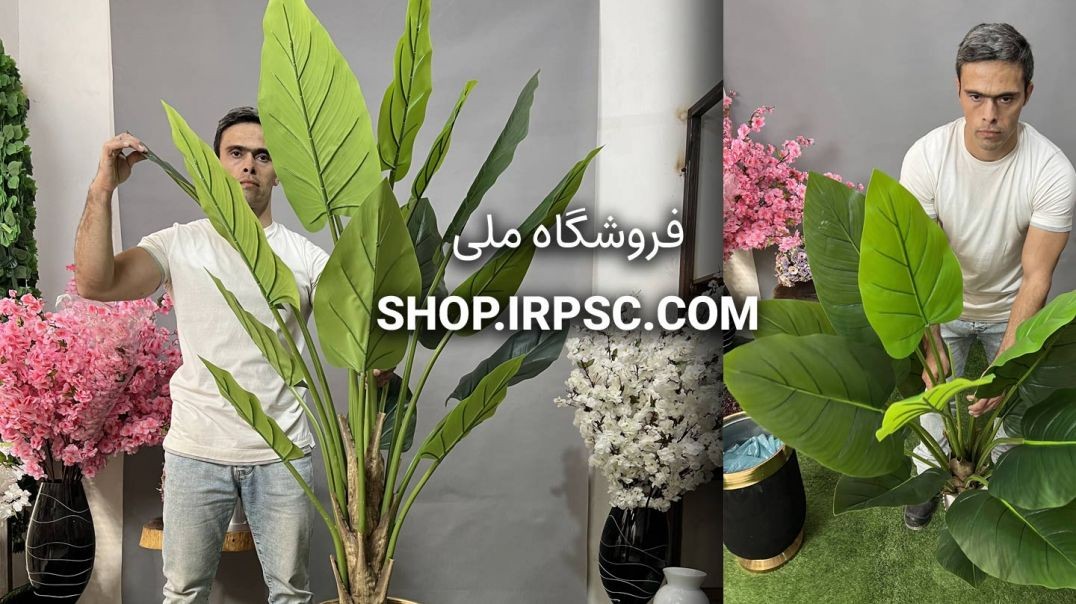 ⁣درختچه مصنوعی آلوکازیا 15 برگ 1.5 متری | فروشگاه ملی