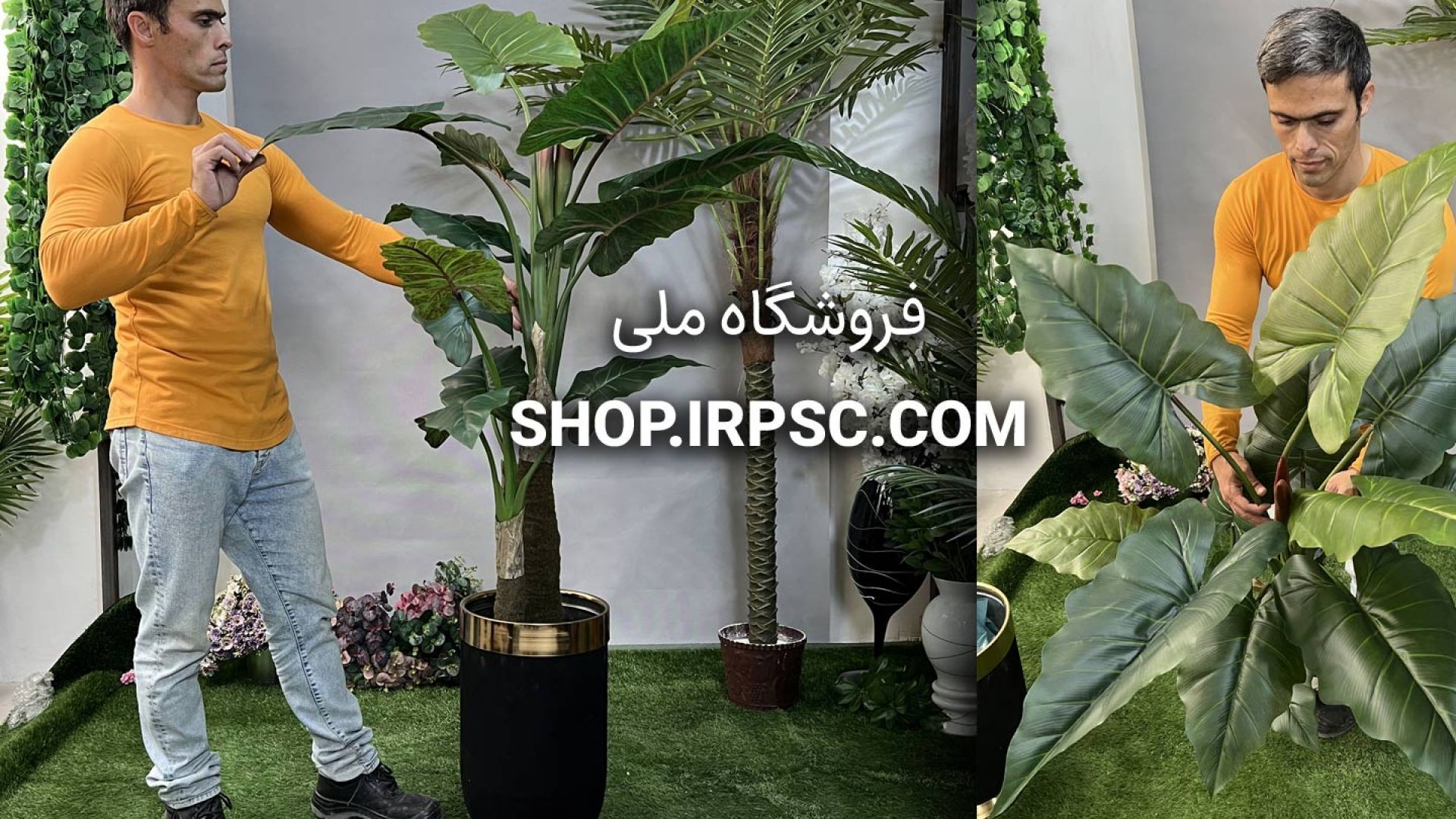 ⁣درختچه مصنوعی آلوکازیا یا بابا آدم 2 تنه | فروشگاه ملی