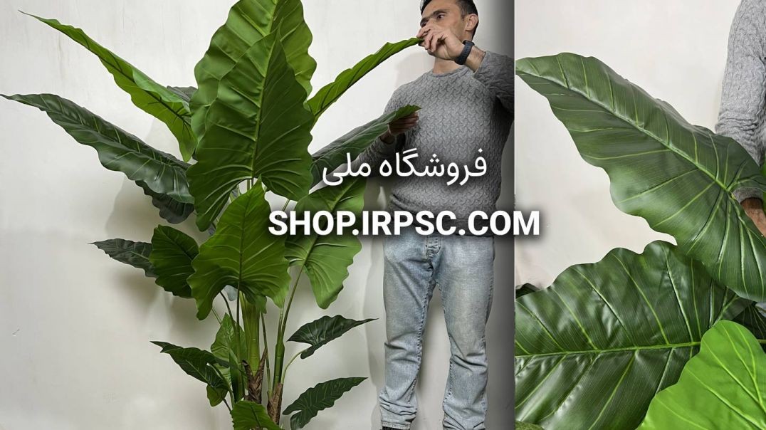 ⁣درختچه مصنوعی آلوکازیا 1.7 متری 20 برگ | فروشگاه ملی