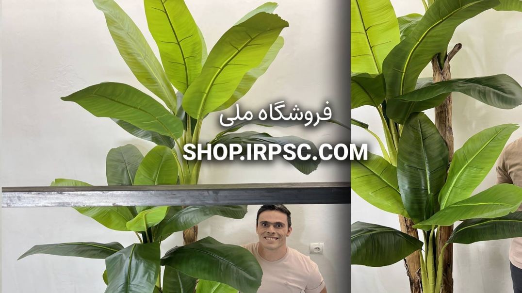 ⁣درختچه مصنوعی موز 3 متری 3 شاخه | فروشگاه ملی