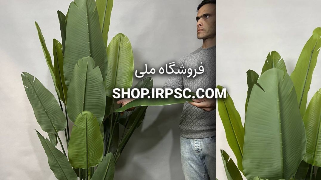 ⁣درختچه مصنوعی پرنده بهشتی 1.8 متری 20 برگ | فروشگاه ملی