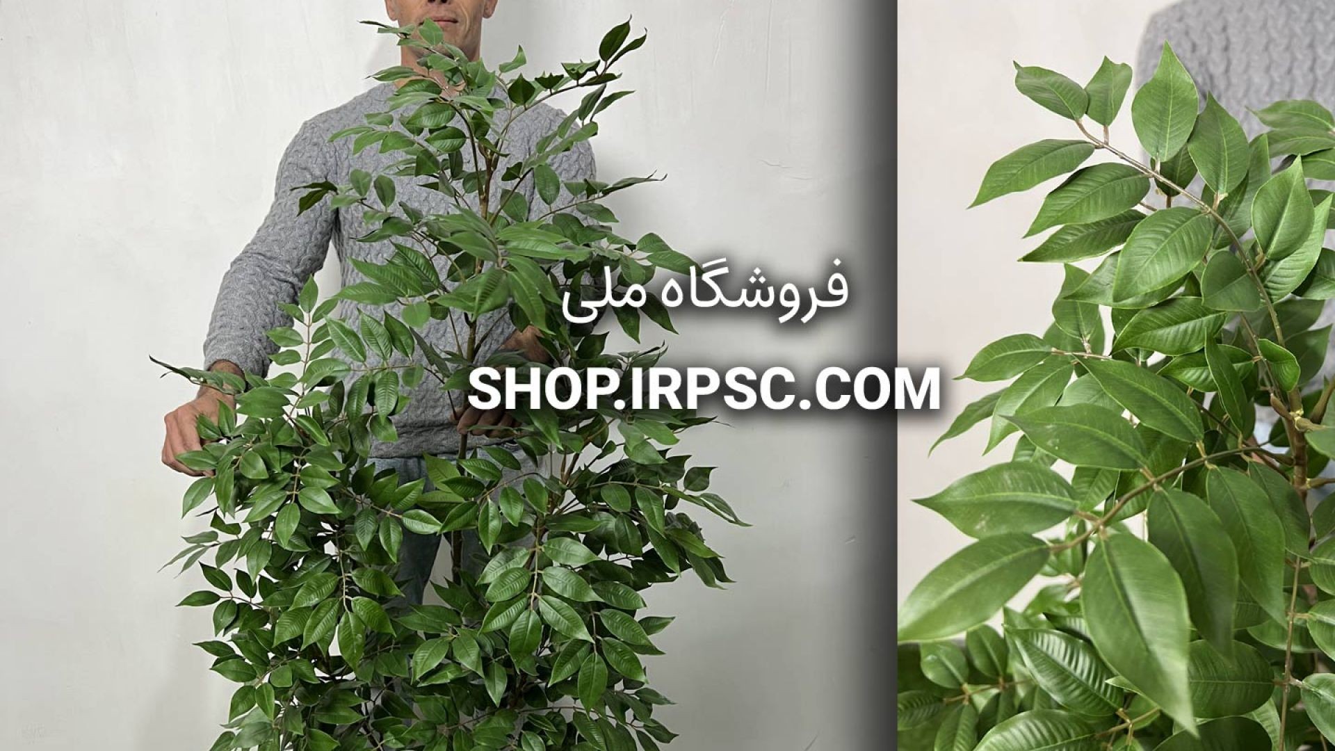 ⁣درختچه مصنوعی اقاقیا سبز 1.5 متری | فروشگاه ملی