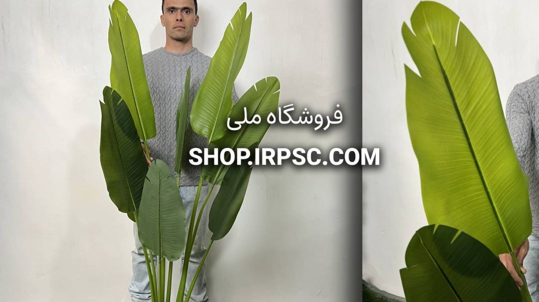 ⁣درختچه مصنوعی پرنده بهشتی 1.6 متری 8 برگ | فروشگاه ملی