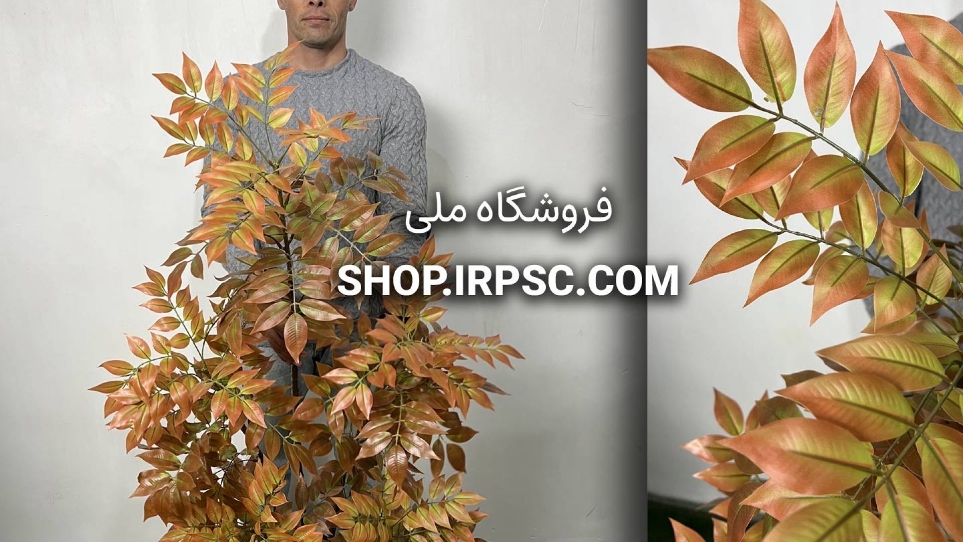 ⁣درختچه مصنوعی اقاقیا پاییزه 1.6 متری | فروشگاه ملی