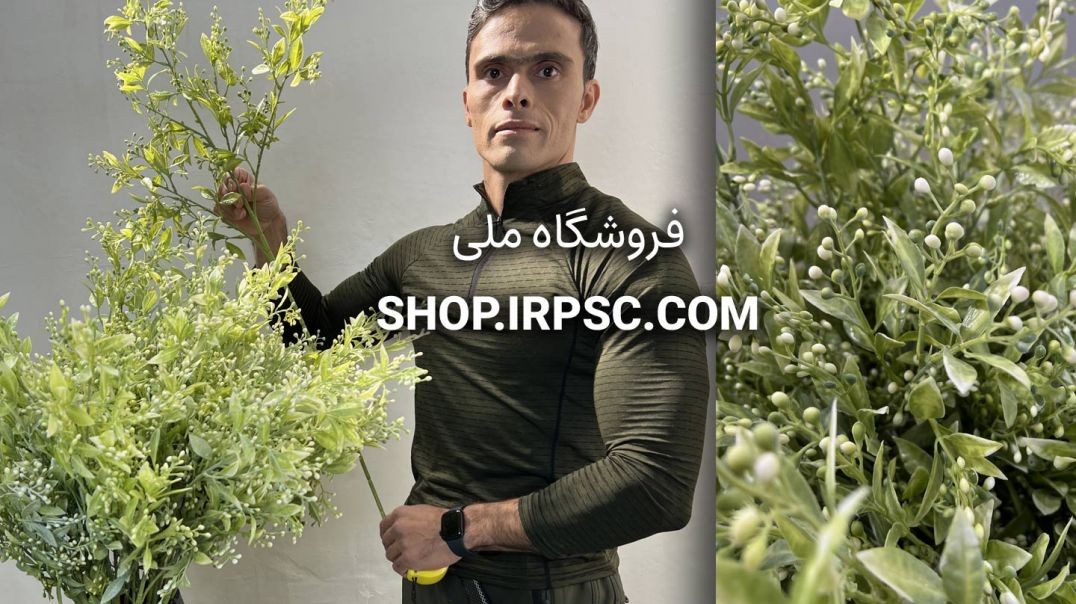 ⁣⁣شاخه برگ مصنوعی به لیمو سبز یخی | فروشگاه ملی