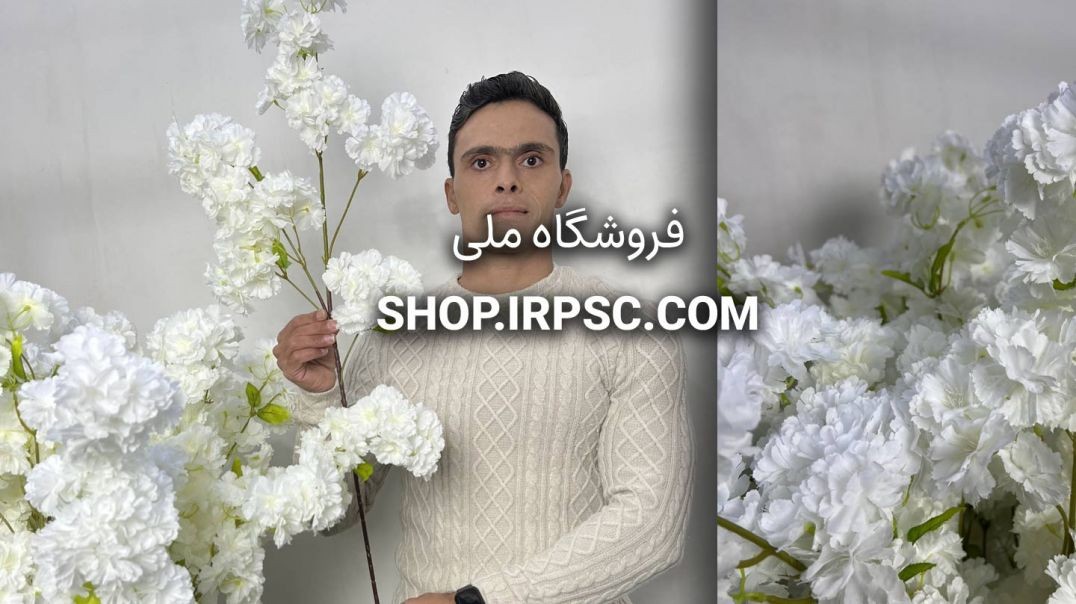 ⁣⁣شاخه شکوفه مصنوعی به ژاپنی سفید | فروشگاه ملی