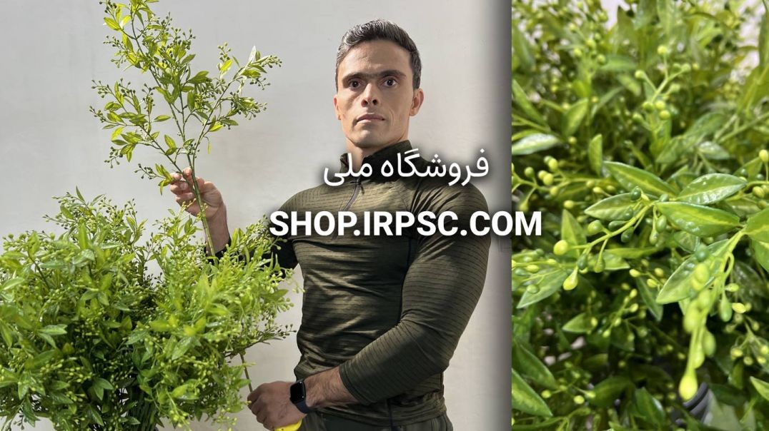 ⁣⁣شاخه برگ مصنوعی به لیمو سبز تیره | فروشگاه ملی