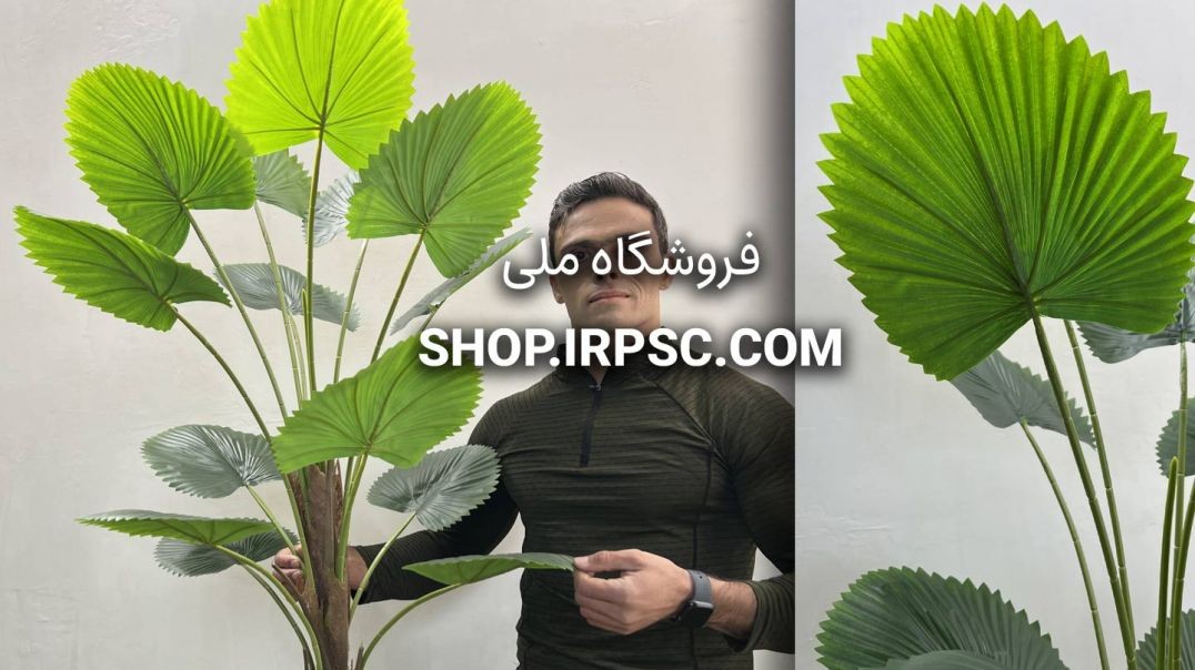 ⁣درختچه مصنوعی نخل بادبزنی 1.2 متری 14 برگ | فروشگاه ملی