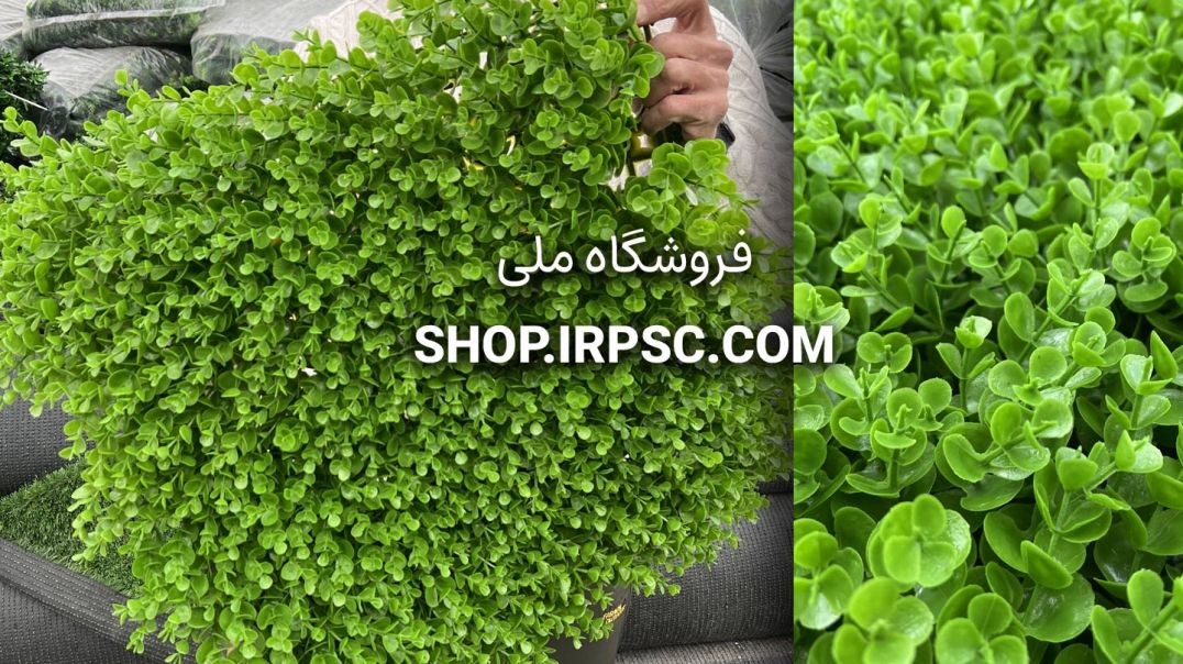 ⁣⁣پنل دیوار سبز مصنوعی شمشاد سبز 50*50 | فروشگاه ملی