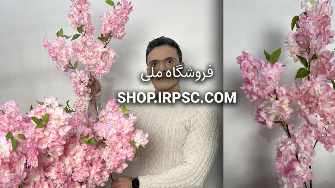 ⁣شاخه شکوفه مصنوعی هلو سفید صورتی یک متری | فروشگاه ملی