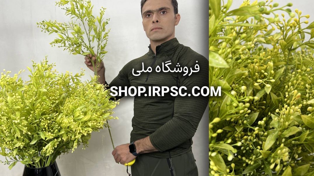 شاخه برگ مصنوعی به لیمو سبز کمرنگ و زرد | فروشگاه ملی