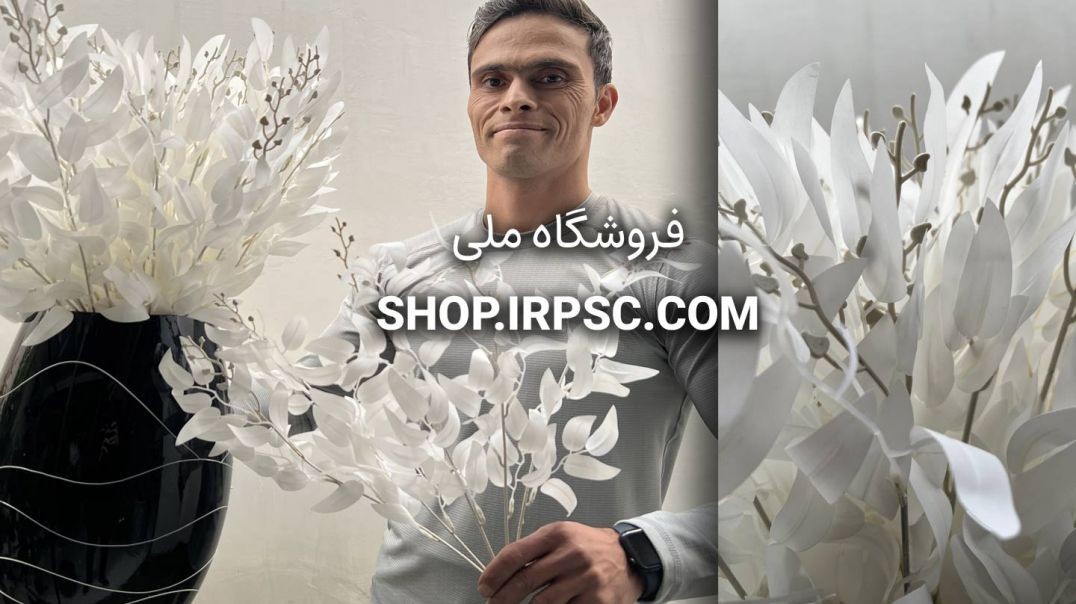 ⁣بوته برگ مصنوعی بامبو سفید | فروشگاه ملی