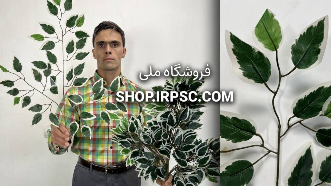 ⁣خرید برگ مصنوعی بنجامین ابلق ۶۰ سانتی‌متری | ابلق سبز و سفید با کیفیت لمسی 🌿