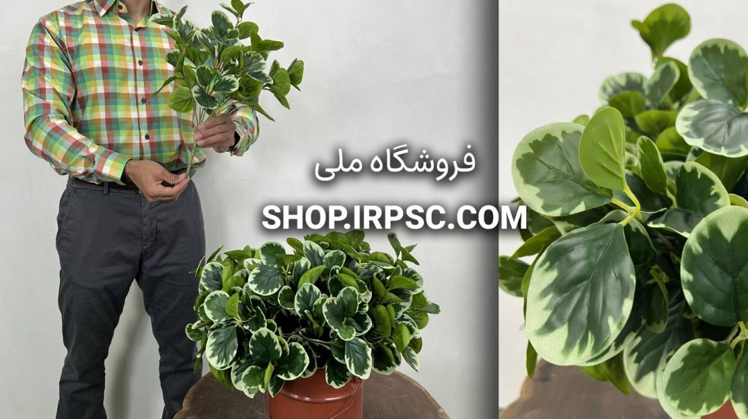⁣خرید بوته گل مصنوعی قاشقی ابلق ۴۰ سانتی‌متری | سبز تیره و سفید با کیفیت لمسی 🌿