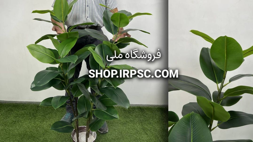 ⁣خرید درختچه مصنوعی فیکوس الاستیکا ۱.۲۵ متری | سبز تیره و روشن با کیفیت لمسی 🌿