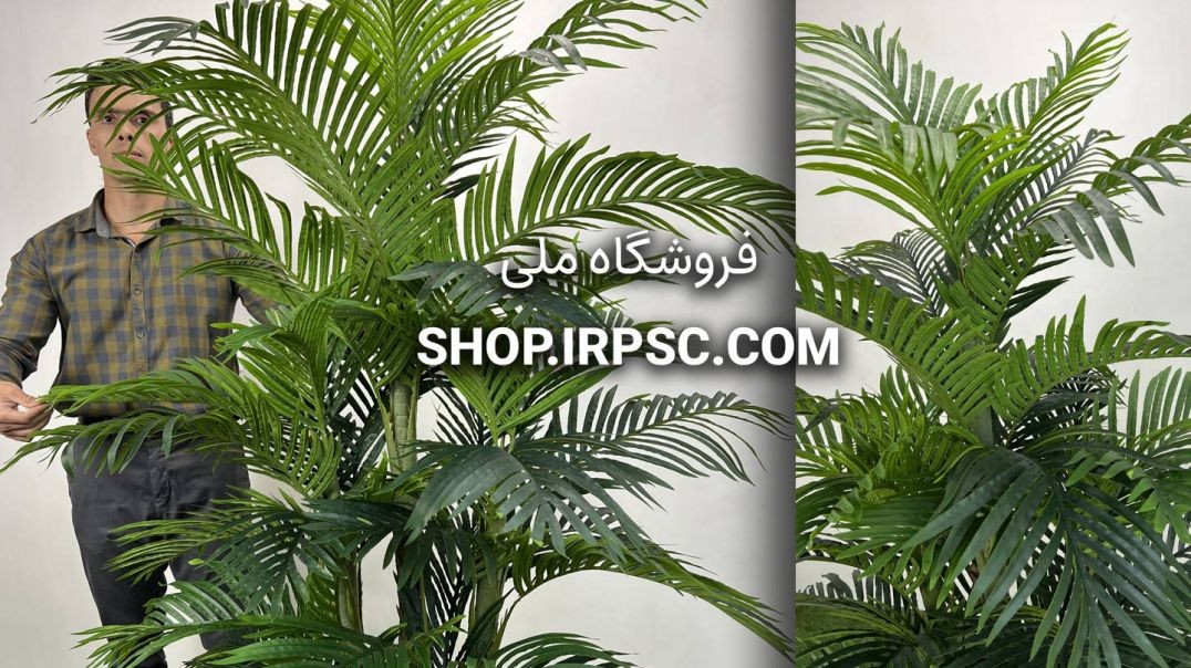 ⁣خرید درختچه مصنوعی نخل کنتیا ۱.۹ متری | سبز تیره و روشن با کیفیت لمسی 🌴