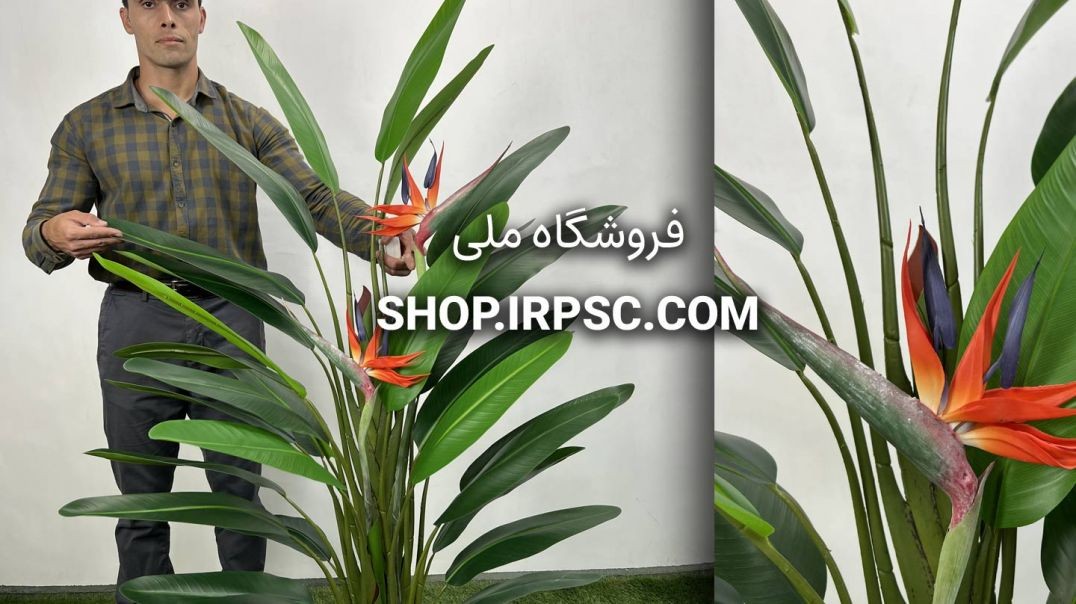 ⁣خرید درختچه مصنوعی استرزیا گلدار ۱.۶ متری | سبز تیره و روشن با گل‌های ژله‌ای زیبا 🌸