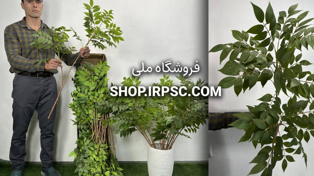⁣خرید شاخه برگ مصنوعی اقاقیا ۱۰۰-۱۱۰ سانتی‌متری | سبز تیره و روشن با کیفیت لمسی 🌿