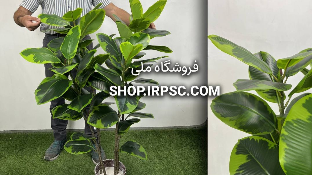 ⁣خرید درختچه مصنوعی فیکوس الاستیکا ابلق ۱.۲۵ متری | سبز تیره و روشن با کیفیت لمسی 🌿