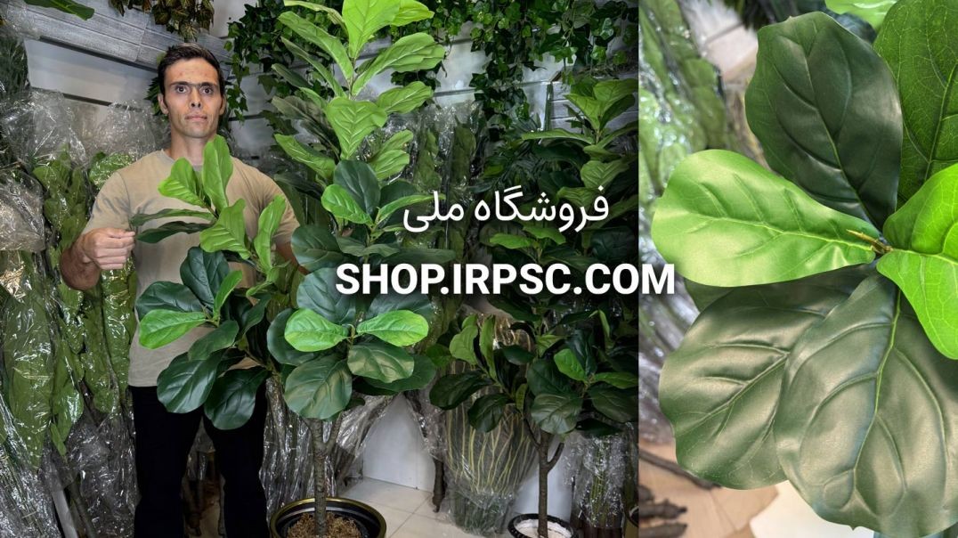 ⁣درختچه مصنوعی فیکوس لیراتا ۱.۵ متری ۵ شاخه و ۷۶ برگ