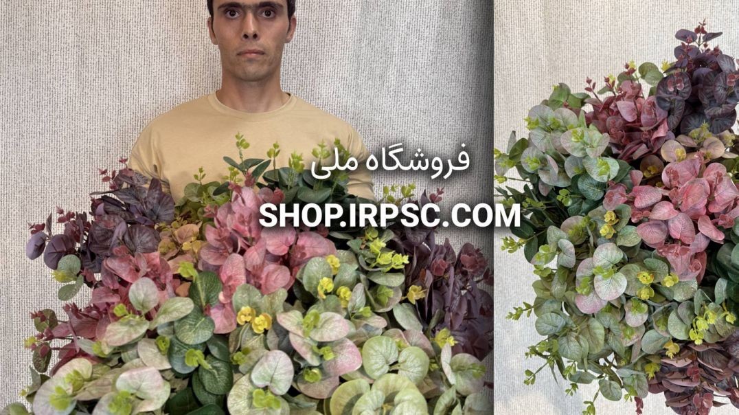 بوته مصنوعی اکالیپتوس دارای ۴ شاخه اصلی با ارتفاع ۵۰ سانتی‌متر