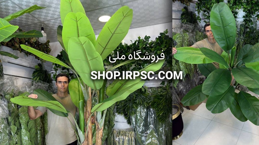 ⁣درختچه مصنوعی موز ۲۱۰ سانتی، ۳ تنه و 18 برگ