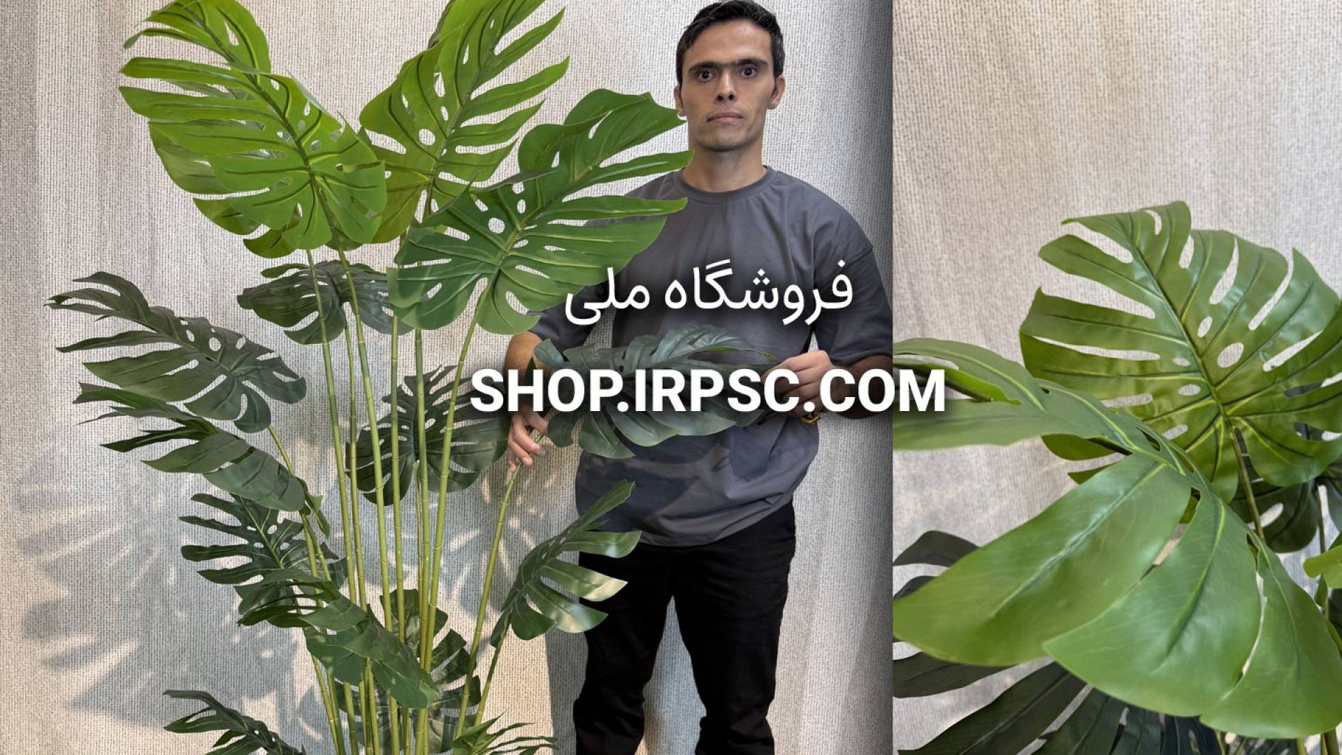 درختچه مصنوعی برگ انجیری با ارتفاع ۱.۸ متر، ۱۶ برگ لمسی و تراکم یک متری