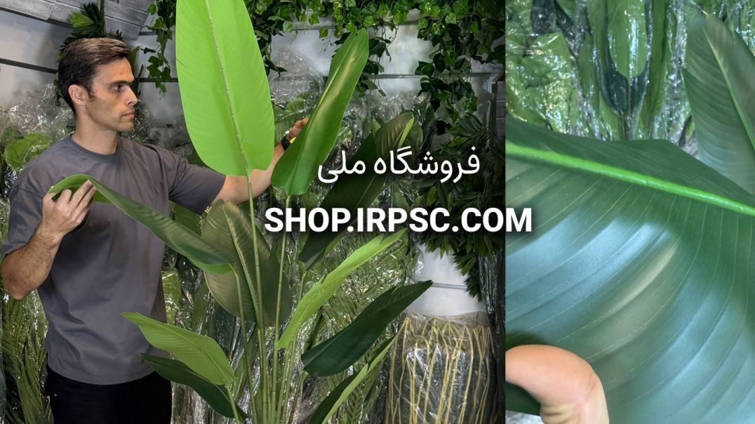 ⁣درختچه مصنوعی پرنده بهشتی ۳ تنه، ۱۰ برگ، ارتفاع ۱۶۰ سانتی
