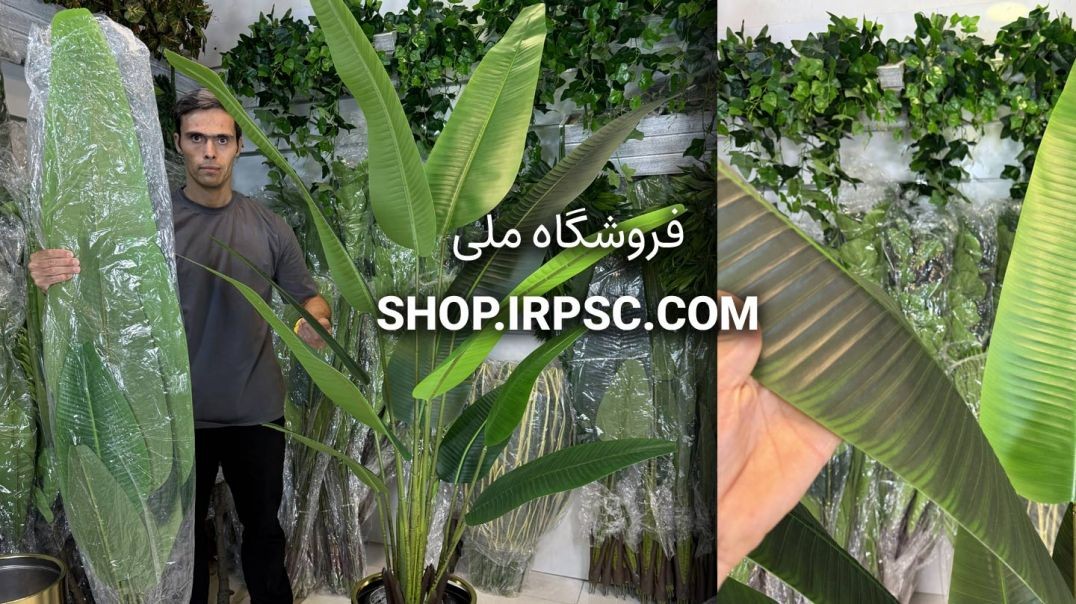 ⁣درختچه مصنوعی نخل نیکولای ۱۸۰ سانتی ۴ تنه و ۱۲ برگ سه‌سایزه