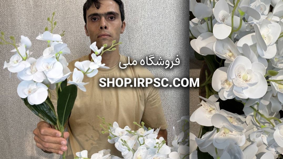 بوته گل مصنوعی ارکیده سفید با کیفیت لمسی ۵ شاخه، ۲۰ گل و ارتفاع ۴۰ سانتی‌متر