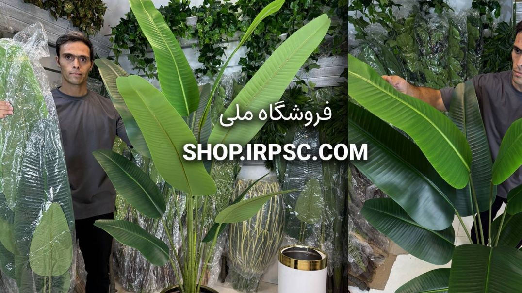 ⁣درختچه مصنوعی نخل نیکولای ۱۶۰ سانتی با ۳ تنه و ۱۰ برگ بزرگ