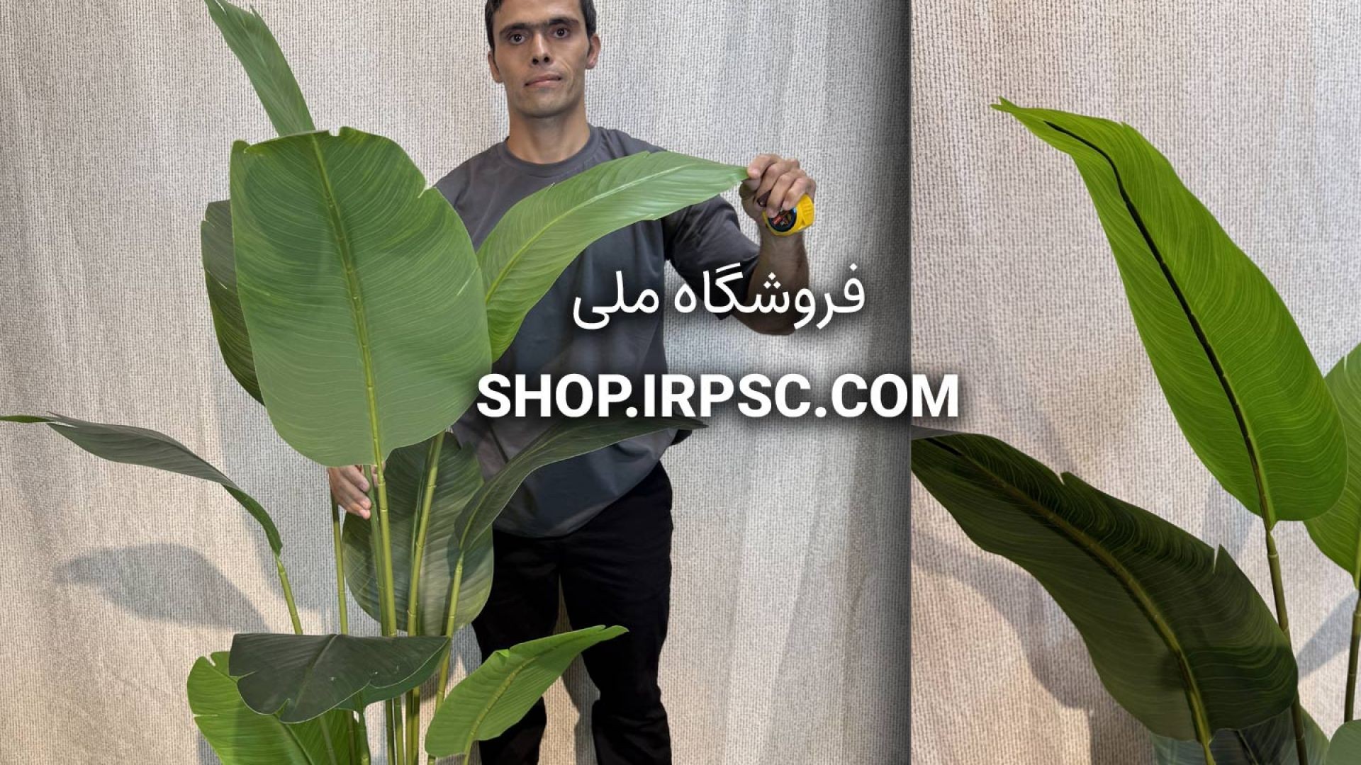 فروش درختچه مصنوعی پرنده بهشتی با ارتفاع ۱.۶ متر، ۱۰ برگ چرمی و ۶ شاخه
