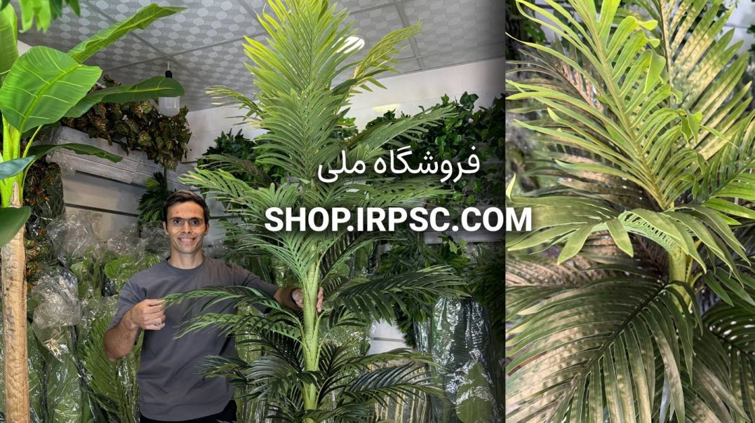 ⁣درختچه مصنوعی نخل کنتیا ۲ متری ۱ تنه و ۴۵ برگ
