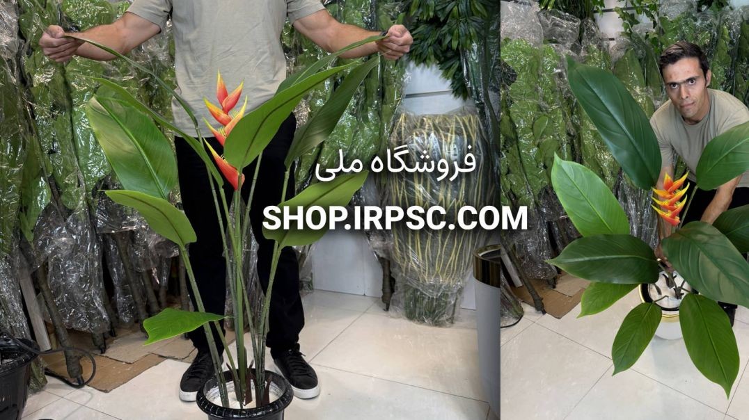 ⁣درختچه مصنوعی استرلیتزیا ۴ تنه، تک گل، ۹ برگ، ارتفاع ۱۳۰ سانتی