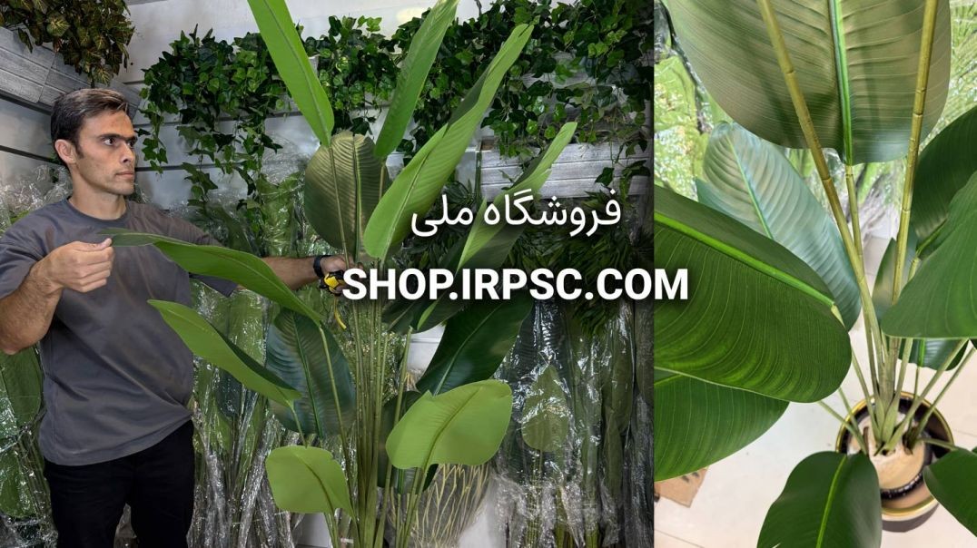 ⁣درختچه مصنوعی پرنده بهشتی ۳ تنه، ۱۳ برگ، ارتفاع ۱۸۰ سانتی