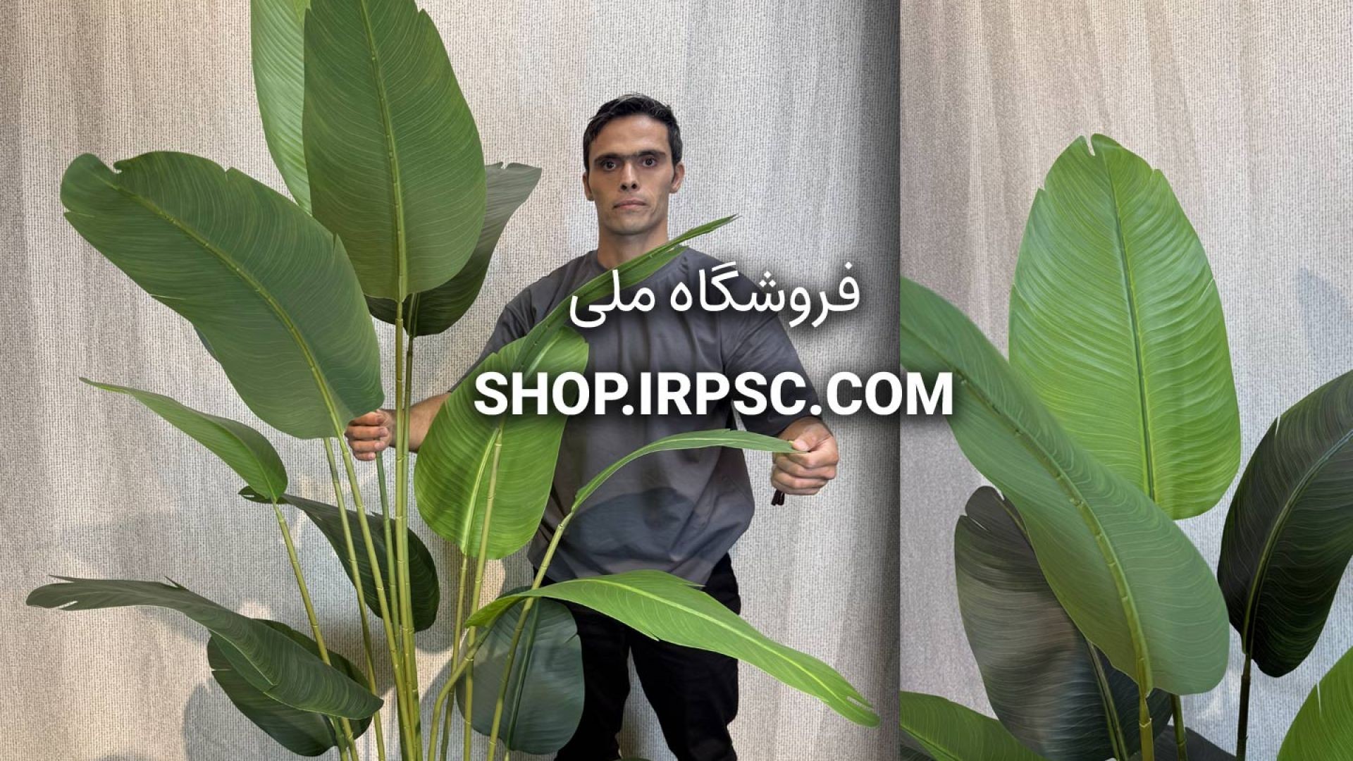 درختچه مصنوعی پرنده بهشتی پهن‌برگ با ارتفاع ۱۹۰ سانتی‌متر و ۱۵ برگ سبز تیره و روشن