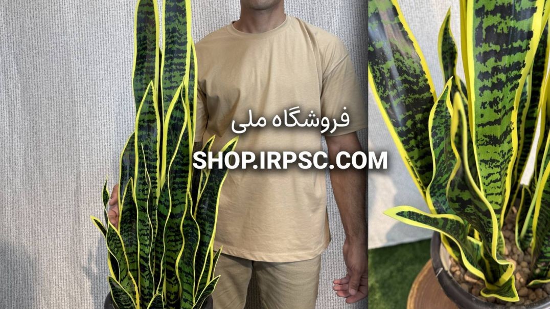 بوته مصنوعی سانسوریا ۹ شاخه لمسی ۹۶ سانتی‌